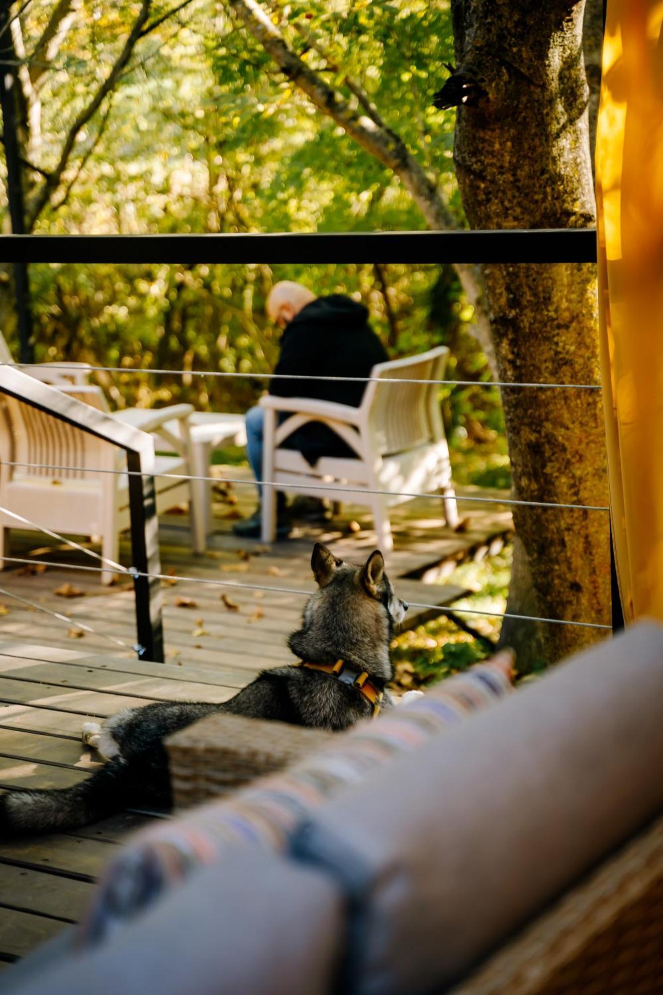 Gipsy Village Park Hotel Asureti エクステリア 写真
